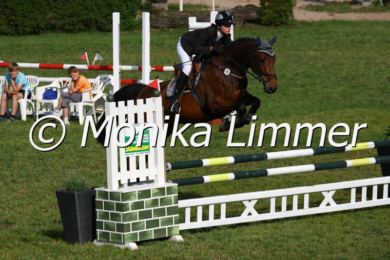 105M1653_Plama U_Stil_A.JPG